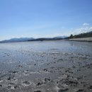 거차뻘배체험장 이미지