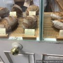 양재2동100 이미지