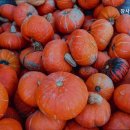 참사랑전문 요양원 | 거동 힘드신 어르신 위한 영등포구 추천 요양원 참사랑전문케어 어르신 돌봄의 전문성