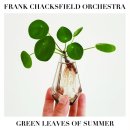 Frank Chacksfield Orchestra - Mr. Lonely 이미지