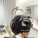 담비미용실 이미지