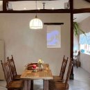 미미애견 이미지