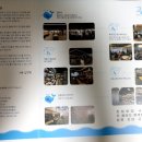 사단법인 강릉국제영화제 이미지