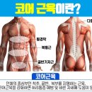 페스트코어