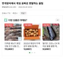 번개장터 8월부터 망하는 이유 ㄷㄷㄷ 이미지