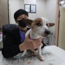 누리봄동물병원 이미지