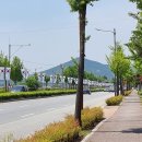 전막~강북교차로 이미지