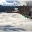 휘닉스 대중골프장 이미지