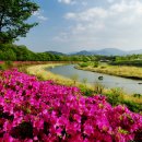 함양물레방아떡마을 이미지