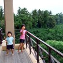 남악초등학교 이미지