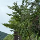 지오펜션2 이미지