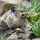 포비PC방 이미지