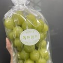 농부가 | 후기를 하나하나 읽으며 농부가 느낀 진짜 마음 - 해찬향기 이야기