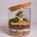 흥해초 병설유치원 | 포항 흥해 초등학교 테라리움 원예 프로그램 식물식기 원데이 클래스