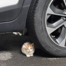 축항대로166번길 이미지