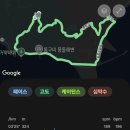 울릉벚꽃 이미지