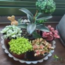 한누리부동산공인중개사사무소 이미지