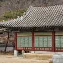 연세견우정형외과의원 이미지