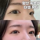 더썹 - 목포시 | 양산 속눈썹 더썹 뷰티 속눈썹펌 후기