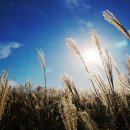 글라스스타일안경원 이미지