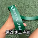누리개발주식회사(4종) | [풀업밴드 추천] 대란 일어난 운동 밴드 인피니티 풀업밴드 4종 세트 솔직후기| 홈트 턱걸이 필수템
