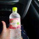 봉오마을회관 | [5. 일본노인복지센터 실습]일본현지요양원실습/일본요양원/일본노인센터/치매관리실습/치매실습/일본...