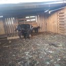 자연식당 이미지