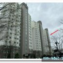 둔산중로-45 이미지