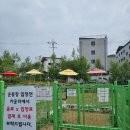 ​3000평 천연 잔디와 높은 층고의 힐링, 서울 근교 애견운동장 피터펫츠 후기