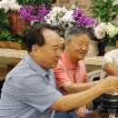 한일정 이미지
