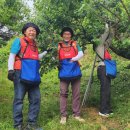 남해화학(주) 이미지