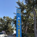 연곡해변솔향기캠핑장