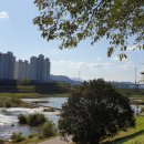 태화 목장 이미지