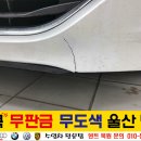 덴트핀다 이미지
