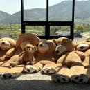 순천만힐링 | 순천데이트코스 찾다가 순천만 487에서 완벽한 힐링 시간을 보낸 후기