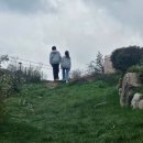 예진카 | 정선 하이원리조트 케이블카 홈쇼핑 패키지 쿠폰 이용방법 (타는곳, 할인, 휴무일)