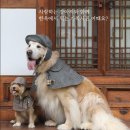 복합한옥공간곳 이미지