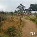 모정 이미지