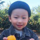 햇살농장2 이미지