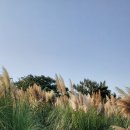 돌머리해수욕장 주차장 이미지