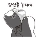 다봄이비인후과의원 이미지