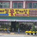 스마일꽃판매장 | 대전동구 돈꽃바구니전문 가양동 스마일꽃판매장 24시간 꽃배달