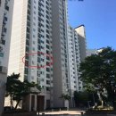 솔플란트치과의원 Daum카페