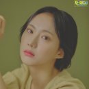 스텔라컴퍼니