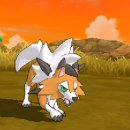 황혼글쓰기 이미지