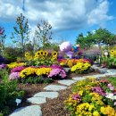 조성신협 이미지