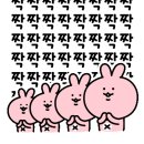 고인돌과소나무협동조합 이미지