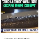 욕김밥