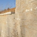 나무와 숲 어린이집 이미지