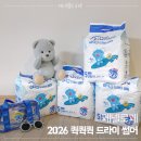 에어솔루션 이화학 연구소 | 페넬로페 2026 퀵퀵퀵 드라이 썸머, 시원한 여름 기저귀 팬티기저귀 추천! feat. 한정판 비치백